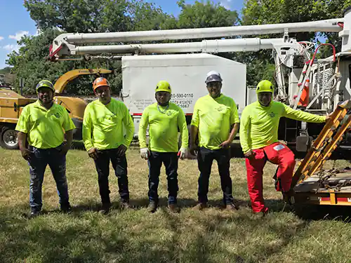 Anderson Tree Services and Affordable Tree Tremoval A-Team